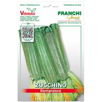 Franchi Sementi Romanesco Marrow/Zucchini